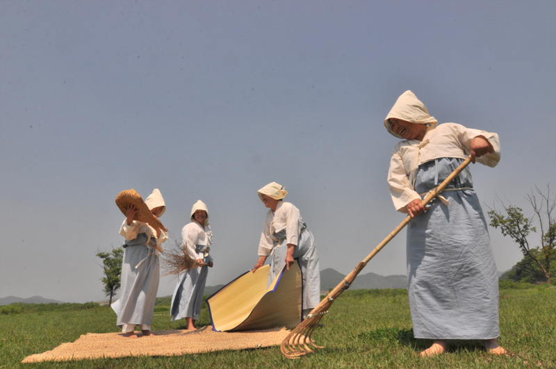 20120505_bec6c7b3c8adbab81_393.jpg