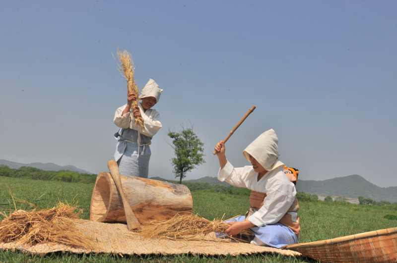 20120505_bec6c7b3c8adbab81_407.jpg