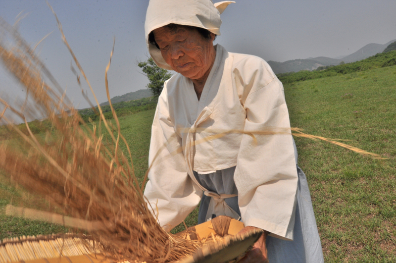 20120505_bec6c7b3c8adbab81_448.jpg