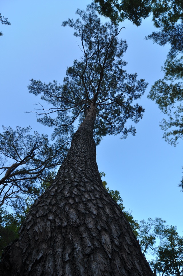 2012c7d1b1b9b9cebcd3bfb9bcfac3e0c1a6_022.jpg
