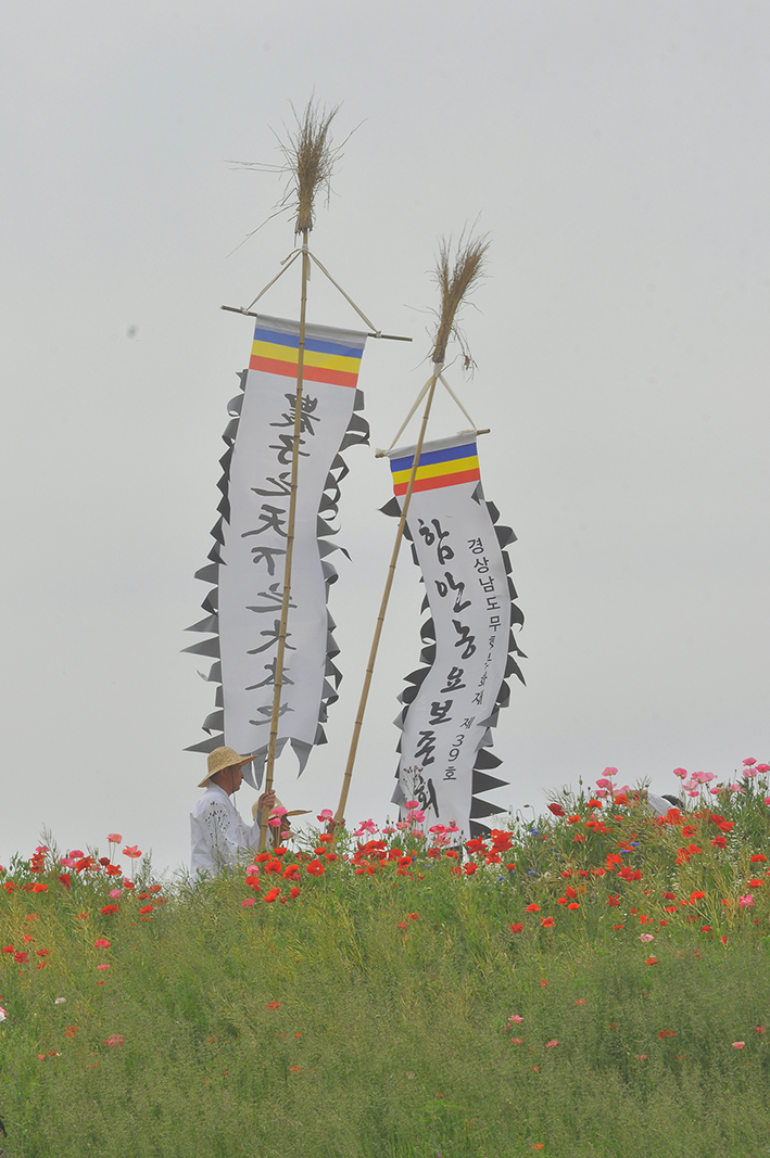 dsc_0873.jpg