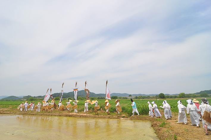 dsc_1230.jpg