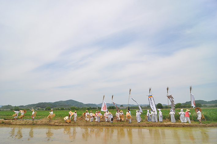 dsc_1234.jpg