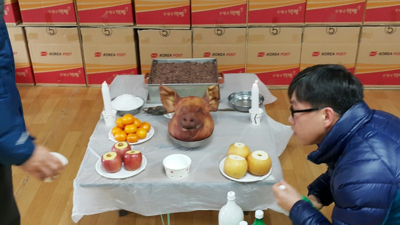 bdc5b3e2c8b810.jpg